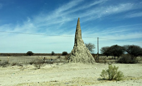 Giant anthills